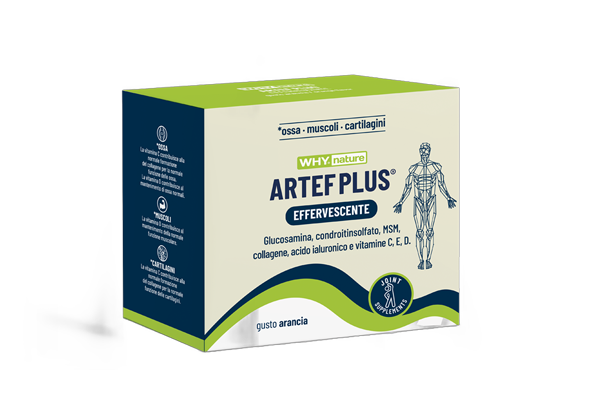 Artef Plus 24x7g