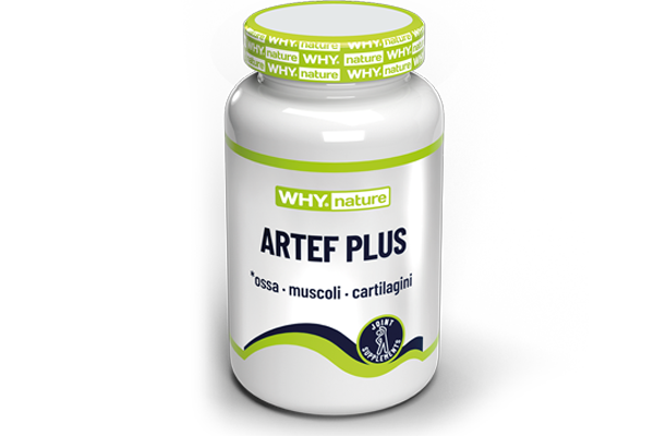 Artef Plus 60 cpr