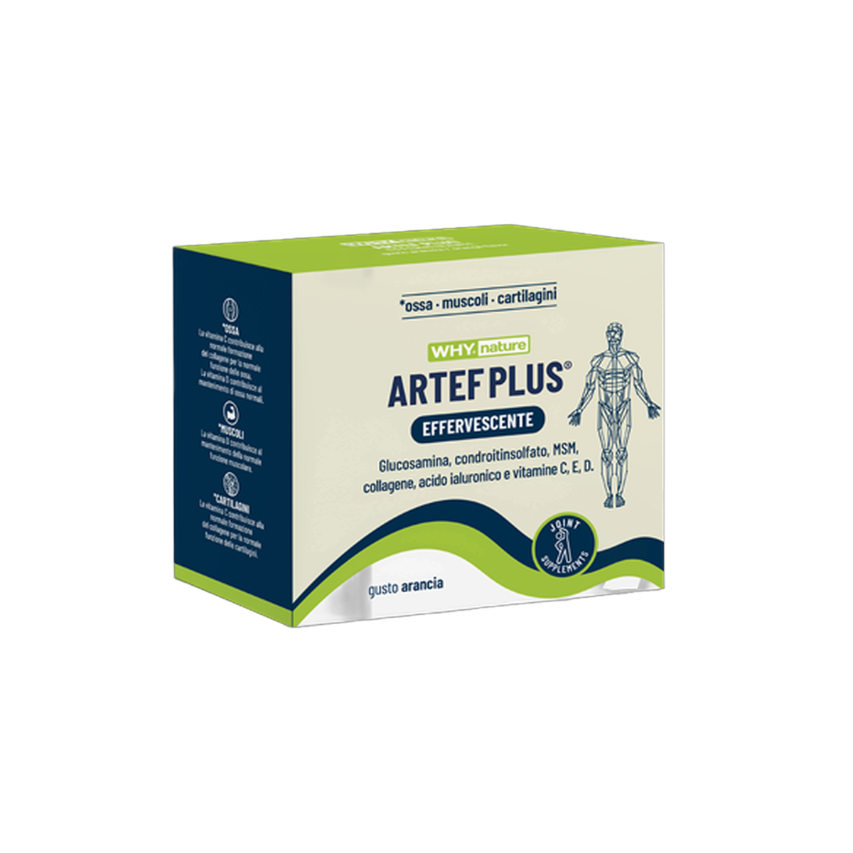 Artef Plus 24x7g