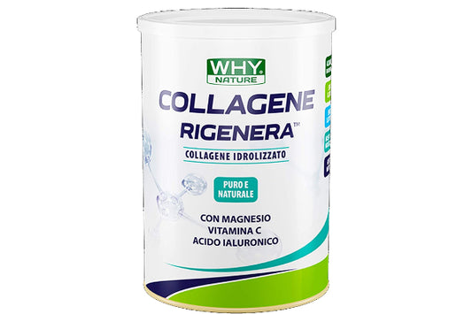 Collagene Rigenera 330g